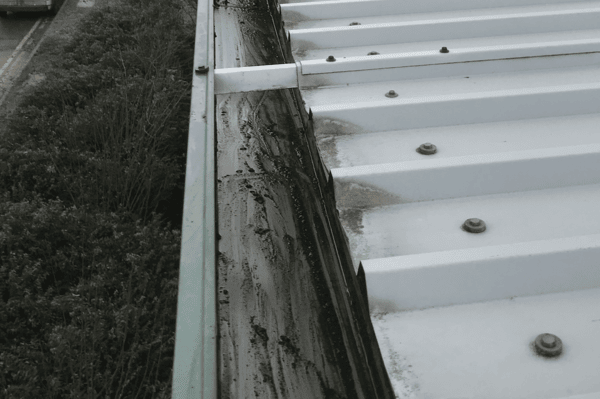 Commercial gutter cleaning specialists in Wootton